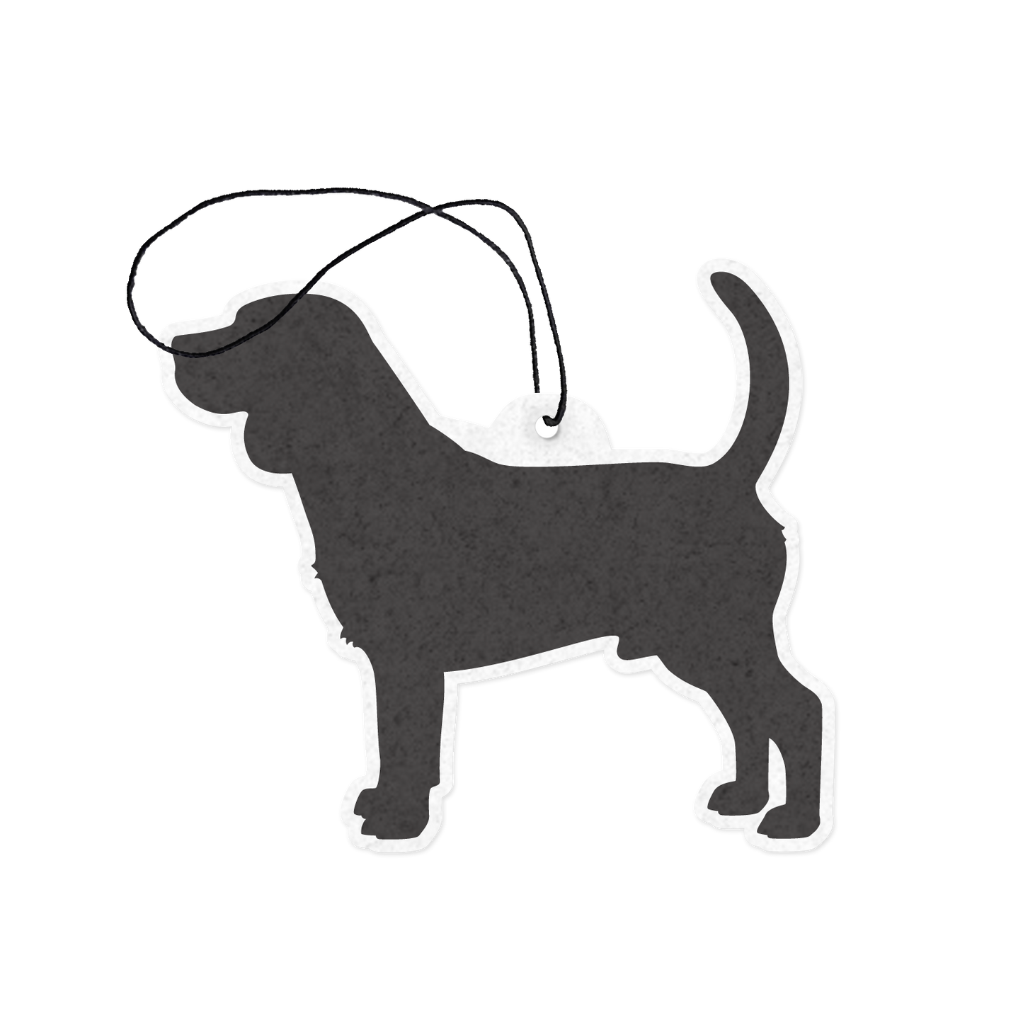 Beagle
