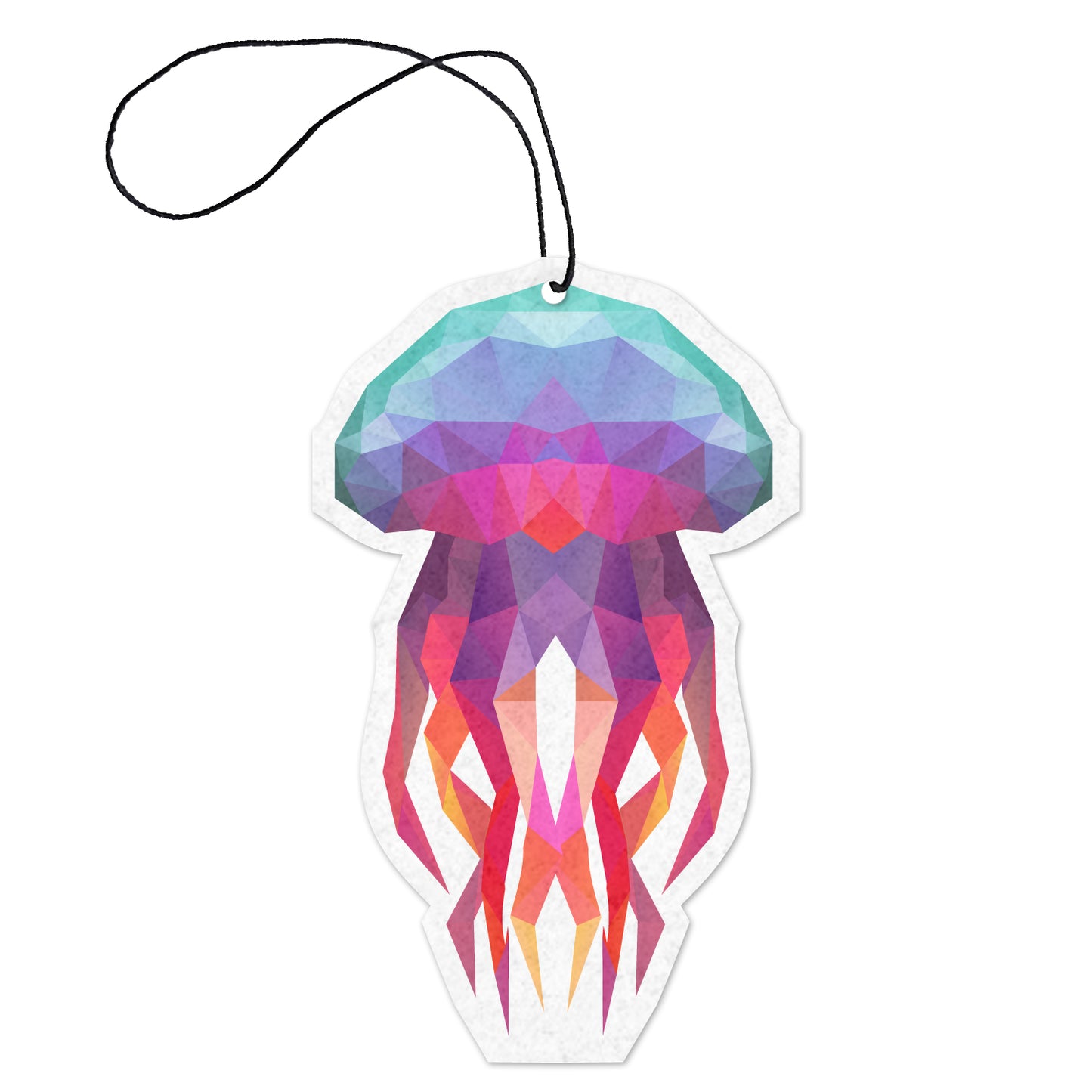 Jellyfish