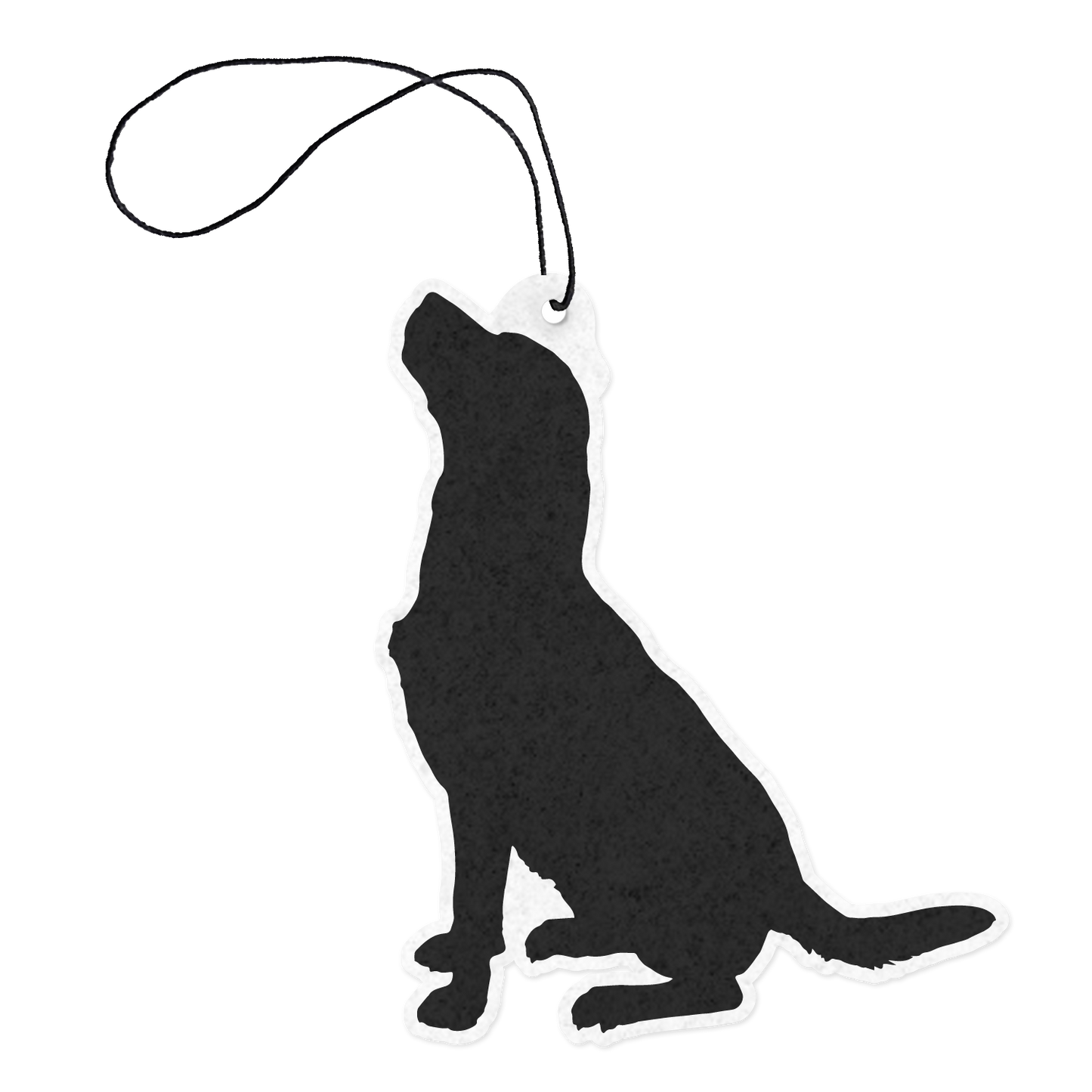 Labrador