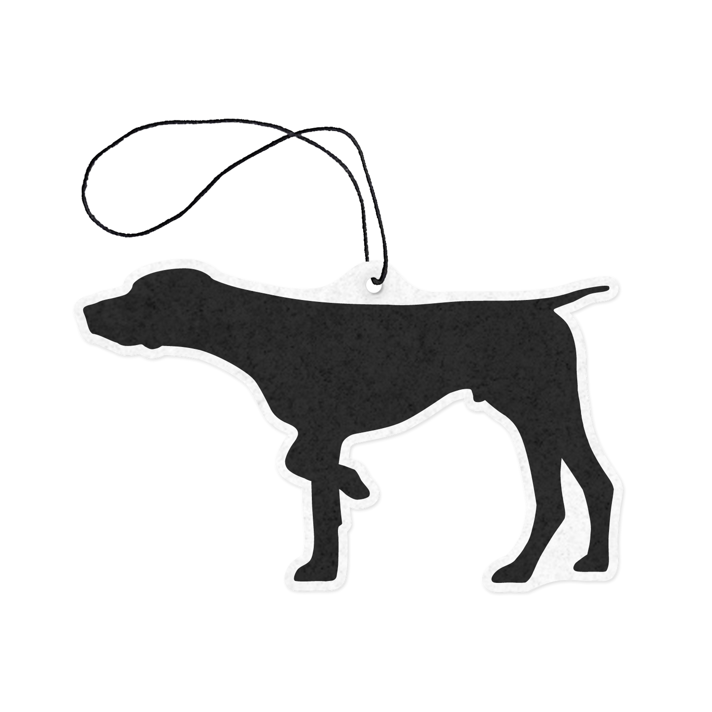 Bird Dog