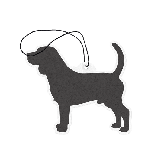 Beagle