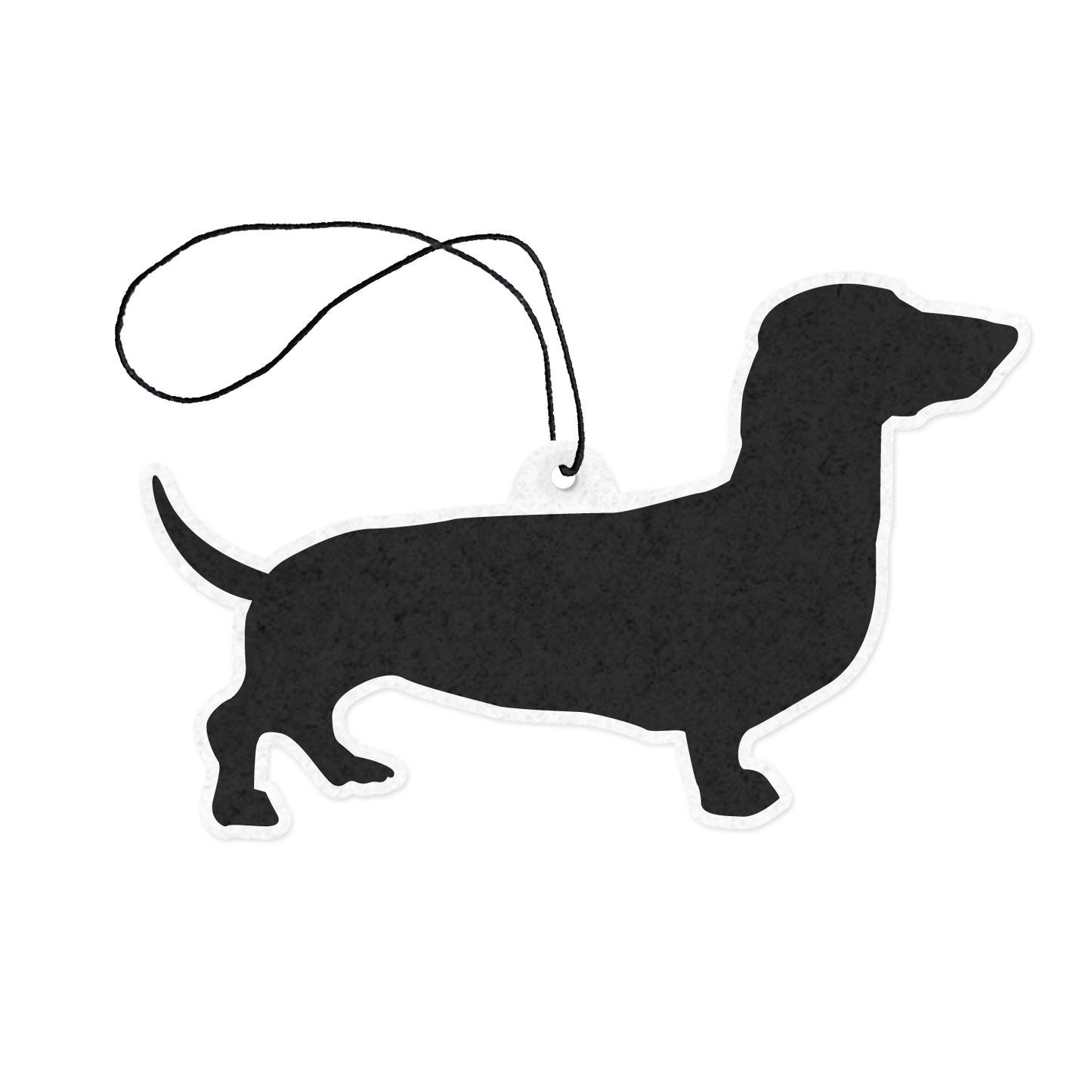 Dachshund