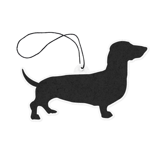 Dachshund