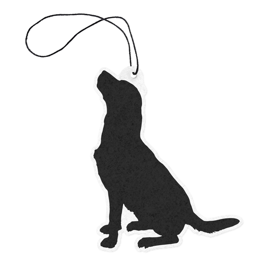 Labrador
